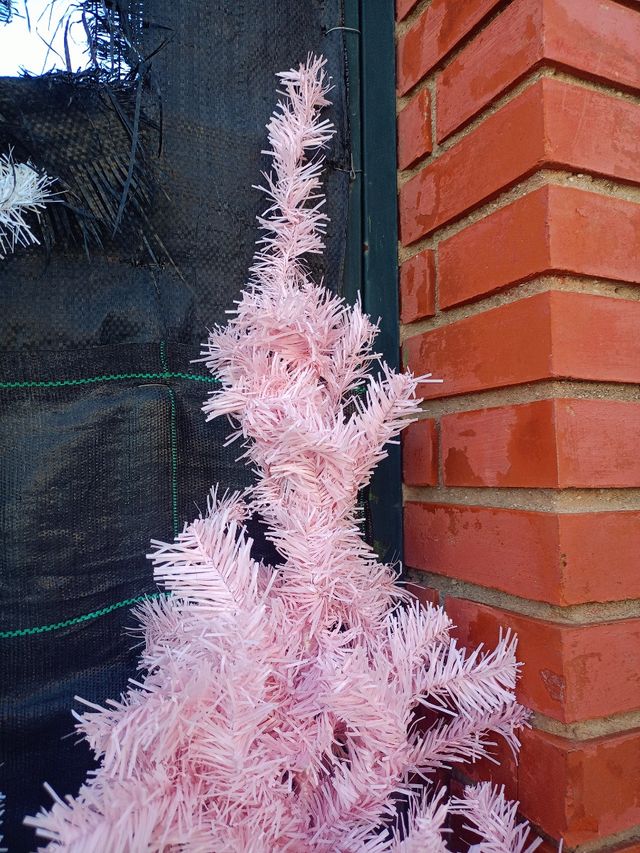 Due alberi di Natale artificiali