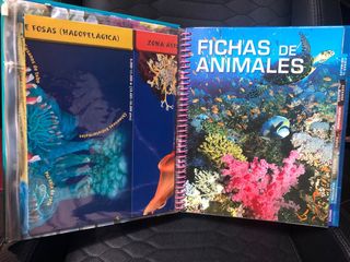 Libro de fichas “Océanos” 
