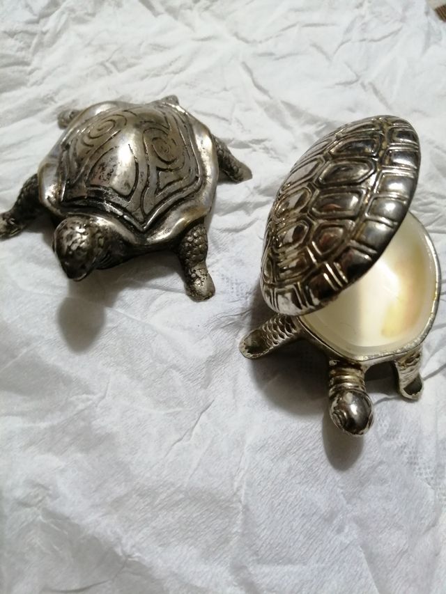 Coppia di tartarughe 