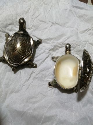 Coppia di tartarughe 