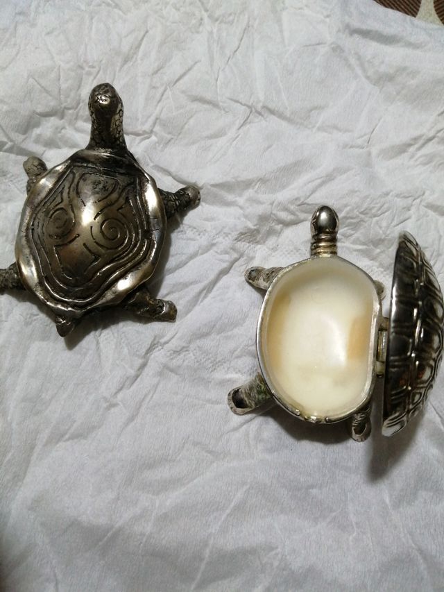 Coppia di tartarughe 