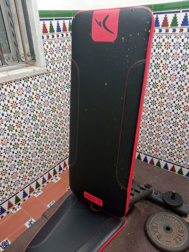 Banco de musculación