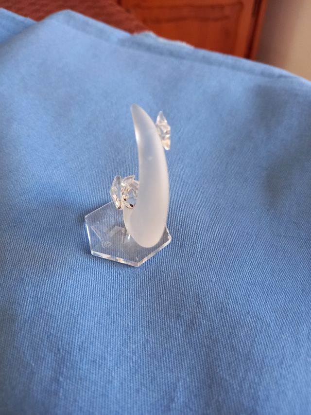 Il gatto, la luna e la stella 