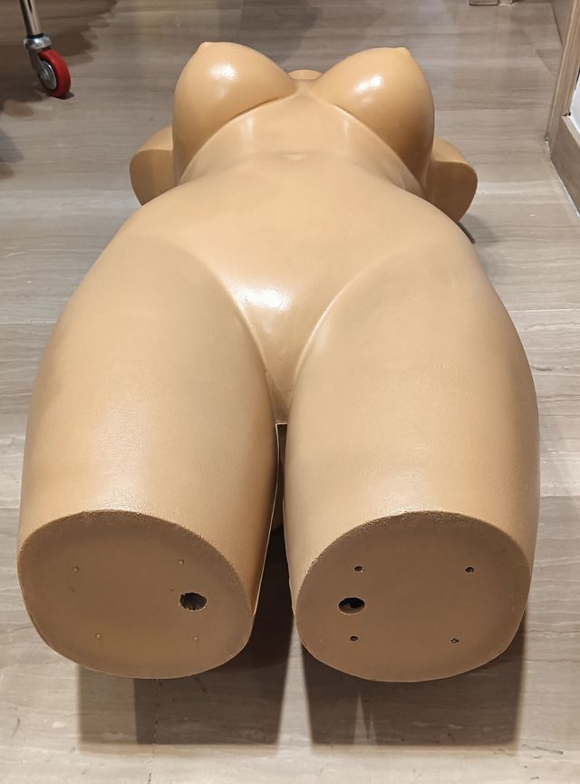 Busto/Maniquí mujer para escaparates o Lencerías