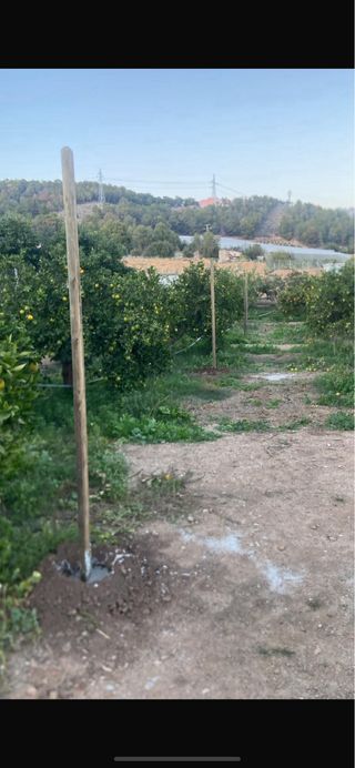 Jardinero