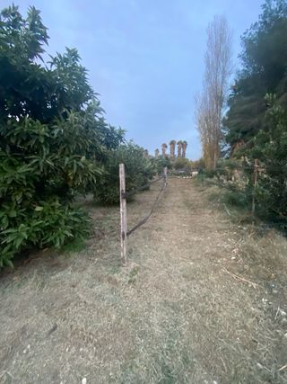 Jardinero