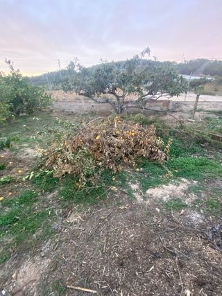 Jardinero