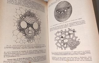 Libro - Tratado de botánica