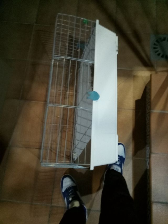 Jaula para coballas, conejos, roedores..