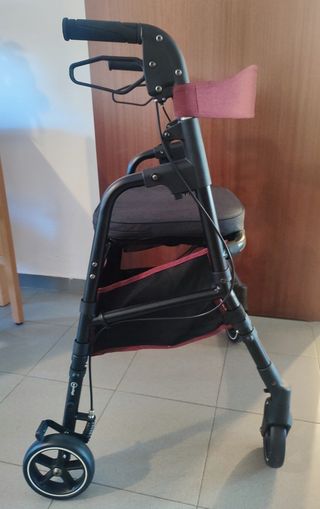 Andador adulto Playcare
