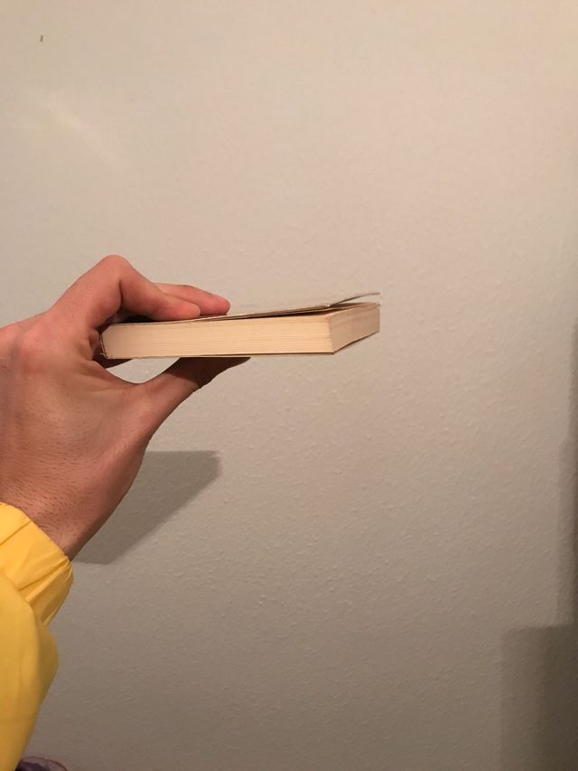 El hombre y la gente. José Ortega y Gasset