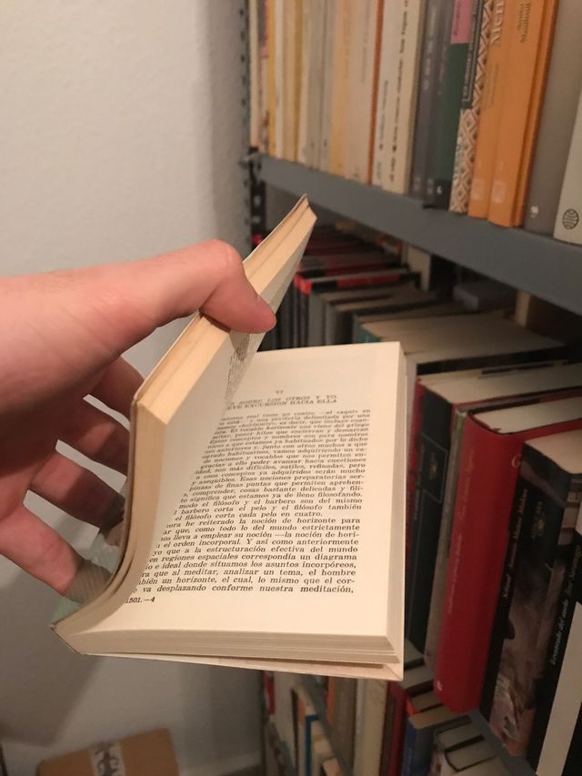 El hombre y la gente. José Ortega y Gasset