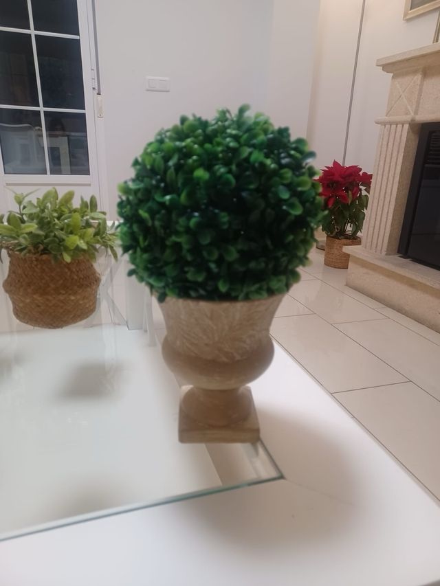 2 maceteros
6 euros cada macetero