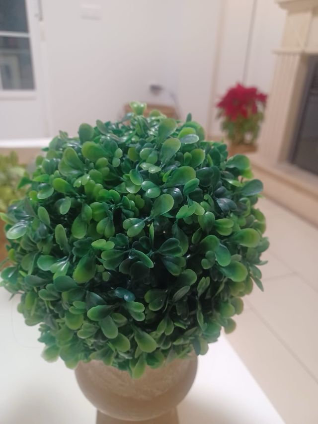 2 maceteros
6 euros cada macetero