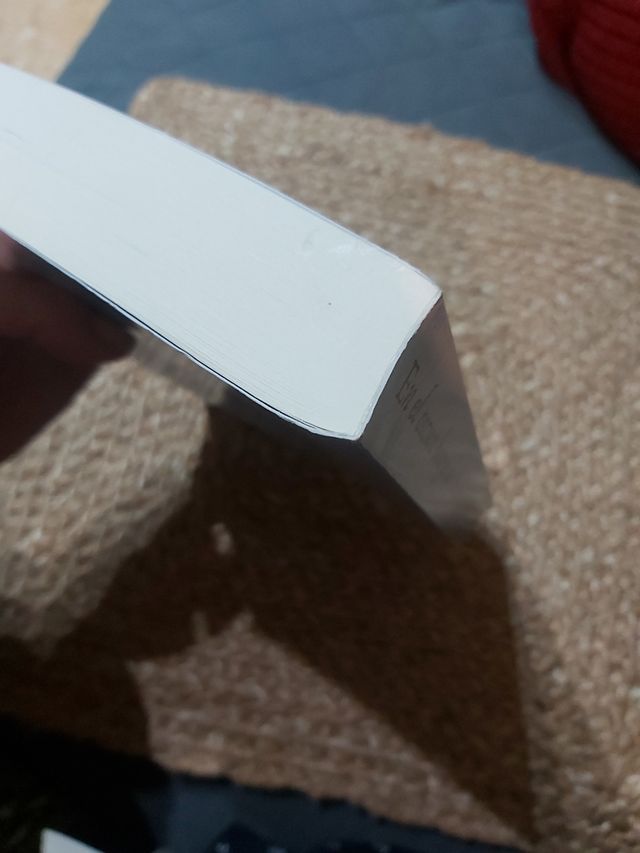 EN EL OSCURO BOSQUE DE SANDARA (Spanish Edition)