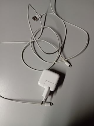 Carica batterie per tablet apple con due cavi