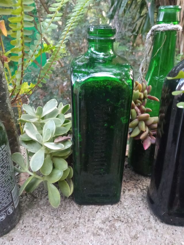 Botella maceta