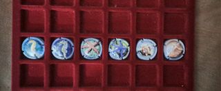 6 placas cava MAR