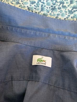Camisa básica Lacoste 