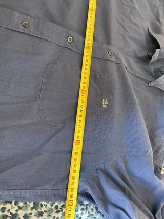 Camisa básica Lacoste 