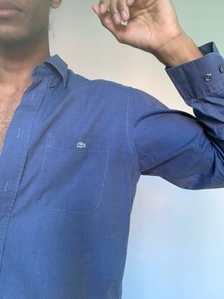 Camisa básica Lacoste 