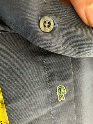 Camisa básica Lacoste 