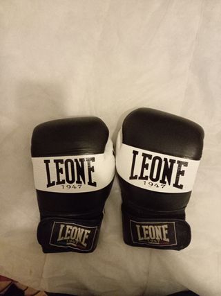 Guantes leone ambassador 12 oz 