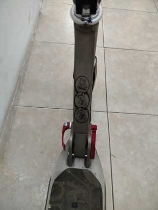 Patin
