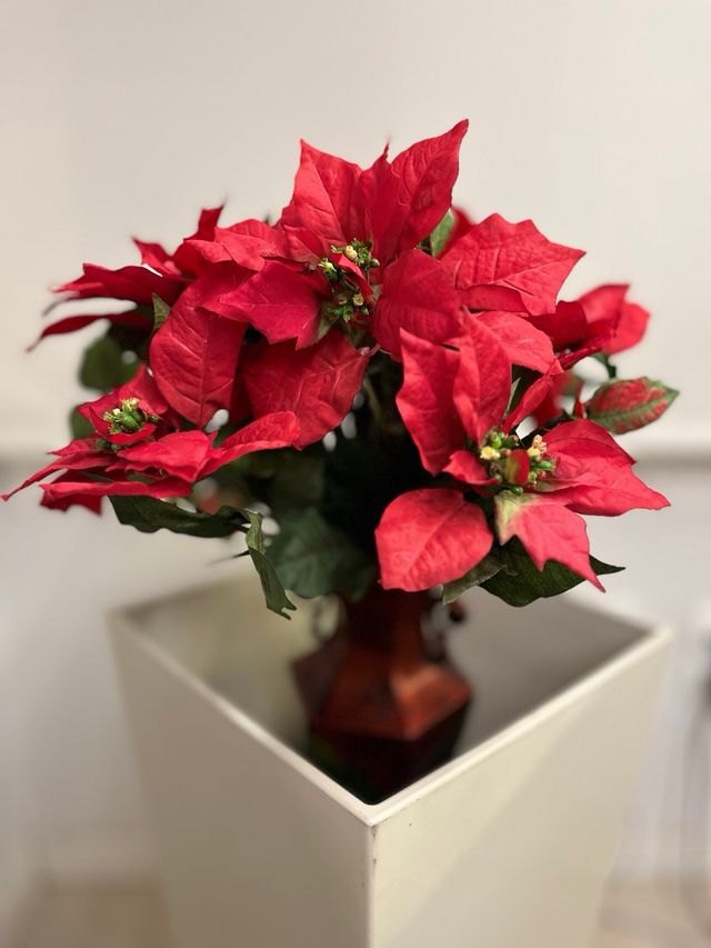 VASO IN METALLO MARRONE+bouquet di poinsettia rossa