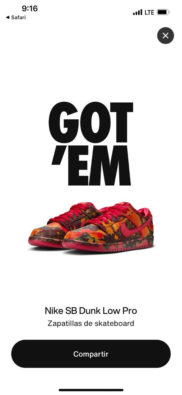 Nike Sb Dunk Low Wizard of Oz 44.5