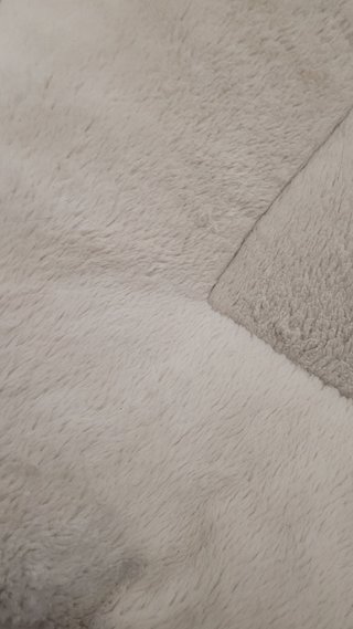 Cama para perro o mascotas
