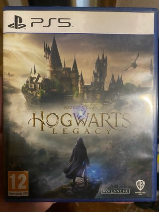 Hogwarts Legacy Ps5