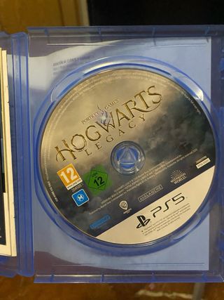 Hogwarts Legacy Ps5