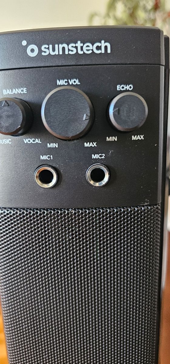 Columna de sonido+2 micrófonos karaoke