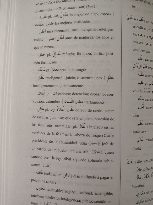 Diccionario arabe culto moderno (Spanish Edition)