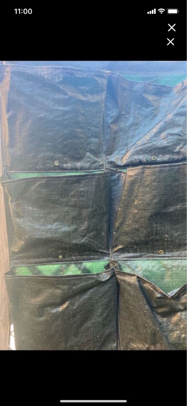 Jardin vertical  y macetas