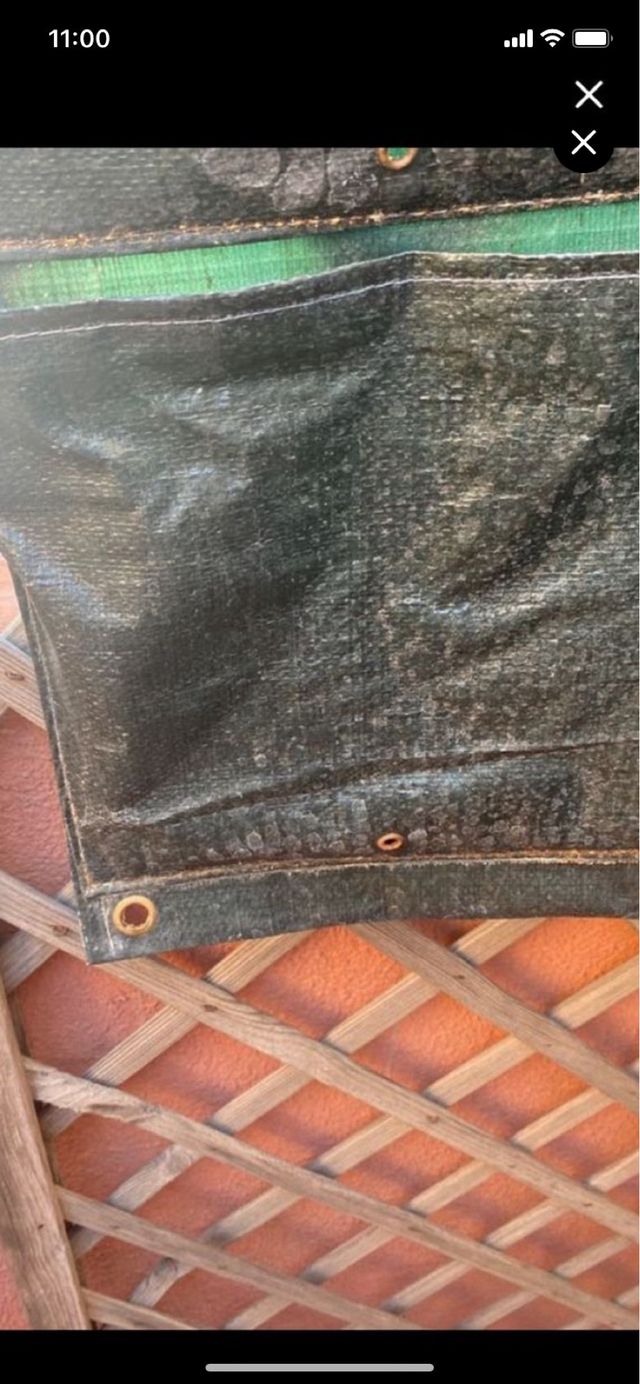 Jardin vertical  y macetas