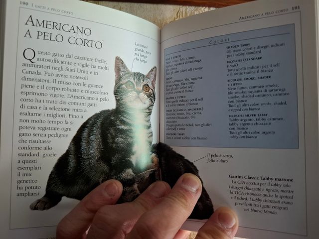 Enciclopedia illustrata del gatto