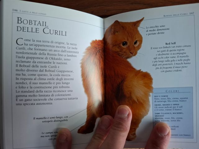 Enciclopedia illustrata del gatto