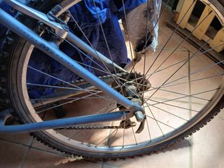 Mountain Bike Specialized, Ruote 55-53-26