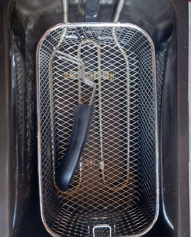 Friggitrice professionale 