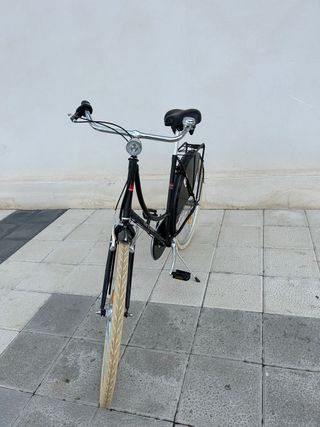 Bicicleta paseo Ortler holandesa