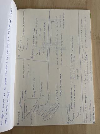 derecho romano y esquemas