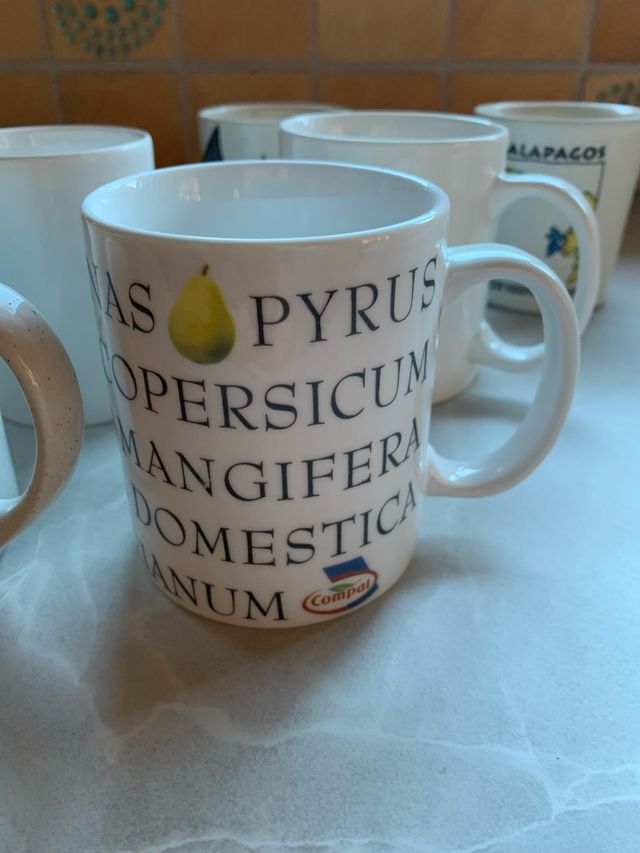 jarras de café o té vasos