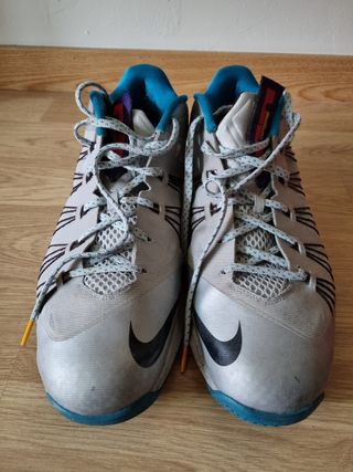 Zapatillas Nike Lebron X Low