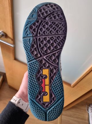 Zapatillas Nike Lebron X Low