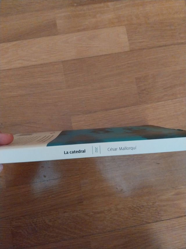 La catedral (Spanish Edition)