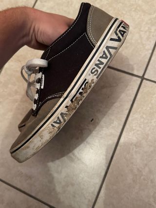 Scarpe vans