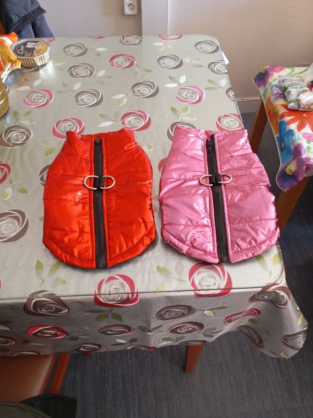 Trage perro con arnes