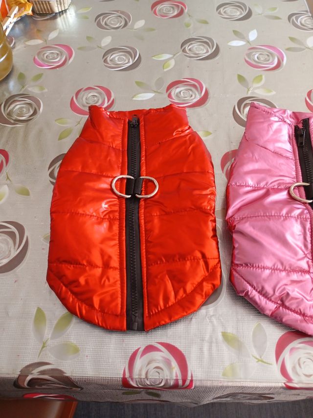 Trage perro con arnes